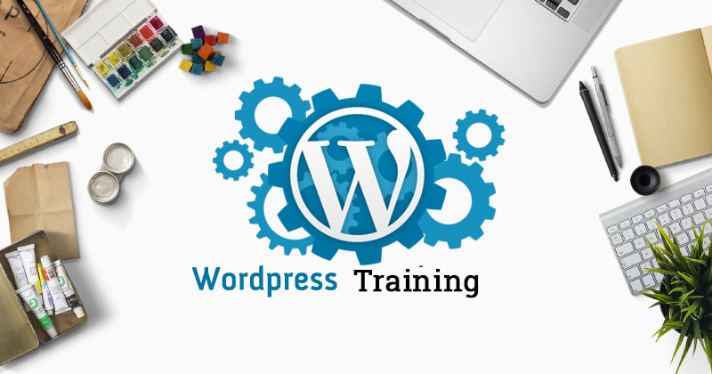 Best WordPress Training in Patiala